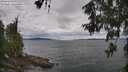 ./images/koeye/fitz-hugh/20260607/fitz-hugh20260607_105001M.jpg