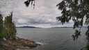 ./images/koeye/fitz-hugh/20260607/fitz-hugh20260607_112502M.jpg