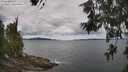 ./images/koeye/fitz-hugh/20260607/fitz-hugh20260607_113502M.jpg
