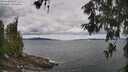 ./images/koeye/fitz-hugh/20260607/fitz-hugh20260607_114001M.jpg