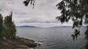 ./images/koeye/fitz-hugh/20260607/fitz-hugh20260607_121502M.jpg
