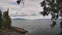 ./images/koeye/fitz-hugh/20260607/fitz-hugh20260607_123502M.jpg