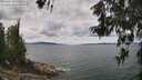 ./images/koeye/fitz-hugh/20260607/fitz-hugh20260607_125001M.jpg