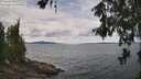 ./images/koeye/fitz-hugh/20260607/fitz-hugh20260607_130002M.jpg