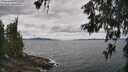 ./images/koeye/fitz-hugh/20260607/fitz-hugh20260607_131001M.jpg