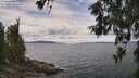 ./images/koeye/fitz-hugh/20260607/fitz-hugh20260607_132001M.jpg