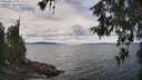 ./images/koeye/fitz-hugh/20260607/fitz-hugh20260607_132501M.jpg