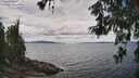 ./images/koeye/fitz-hugh/20260607/fitz-hugh20260607_133001M.jpg