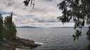 ./images/koeye/fitz-hugh/20260607/fitz-hugh20260607_133501M.jpg