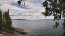./images/koeye/fitz-hugh/20260607/fitz-hugh20260607_134501M.jpg