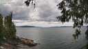 ./images/koeye/fitz-hugh/20260607/fitz-hugh20260607_140001M.jpg