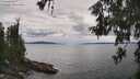 ./images/koeye/fitz-hugh/20260607/fitz-hugh20260607_143002M.jpg
