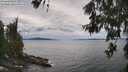 ./images/koeye/fitz-hugh/20260607/fitz-hugh20260607_145502M.jpg