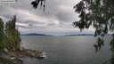 ./images/koeye/fitz-hugh/20260607/fitz-hugh20260607_155001M.jpg