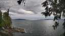 ./images/koeye/fitz-hugh/20260607/fitz-hugh20260607_160002M.jpg
