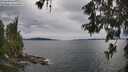 ./images/koeye/fitz-hugh/20260607/fitz-hugh20260607_163001M.jpg