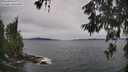 ./images/koeye/fitz-hugh/20260607/fitz-hugh20260607_165502M.jpg