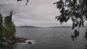 ./images/koeye/fitz-hugh/20260607/fitz-hugh20260607_170002M.jpg