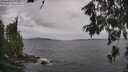 ./images/koeye/fitz-hugh/20260607/fitz-hugh20260607_170501M.jpg