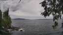 ./images/koeye/fitz-hugh/20260607/fitz-hugh20260607_171001M.jpg