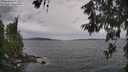 ./images/koeye/fitz-hugh/20260607/fitz-hugh20260607_171501M.jpg