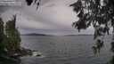 ./images/koeye/fitz-hugh/20260607/fitz-hugh20260607_172001M.jpg