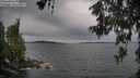 ./images/koeye/fitz-hugh/20260607/fitz-hugh20260607_173501M.jpg