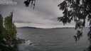 ./images/koeye/fitz-hugh/20260607/fitz-hugh20260607_181001M.jpg