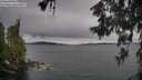 ./images/koeye/fitz-hugh/20260607/fitz-hugh20260607_190001M.jpg