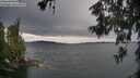 ./images/koeye/fitz-hugh/20260607/fitz-hugh20260607_193501M.jpg