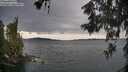 ./images/koeye/fitz-hugh/20260607/fitz-hugh20260607_194501M.jpg