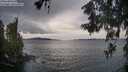 ./images/koeye/fitz-hugh/20260607/fitz-hugh20260607_200501M.jpg