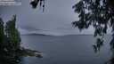 ./images/koeye/fitz-hugh/20260607/fitz-hugh20260607_220501M.jpg