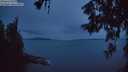 ./images/koeye/fitz-hugh/20260607/fitz-hugh20260607_223001M.jpg