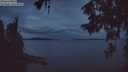 ./images/koeye/fitz-hugh/20260608/fitz-hugh20260608_042002M.jpg