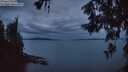 ./images/koeye/fitz-hugh/20260608/fitz-hugh20260608_043502M.jpg