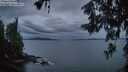 ./images/koeye/fitz-hugh/20260608/fitz-hugh20260608_044501M.jpg