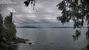 ./images/koeye/fitz-hugh/20260608/fitz-hugh20260608_052501M.jpg