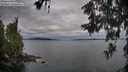 ./images/koeye/fitz-hugh/20260608/fitz-hugh20260608_061001M.jpg