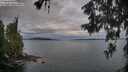./images/koeye/fitz-hugh/20260608/fitz-hugh20260608_061501M.jpg