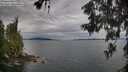 ./images/koeye/fitz-hugh/20260608/fitz-hugh20260608_063502M.jpg