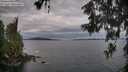 ./images/koeye/fitz-hugh/20260608/fitz-hugh20260608_065001M.jpg