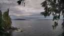 ./images/koeye/fitz-hugh/20260608/fitz-hugh20260608_065502M.jpg
