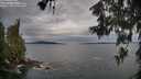 ./images/koeye/fitz-hugh/20260608/fitz-hugh20260608_070001M.jpg