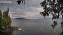 ./images/koeye/fitz-hugh/20260608/fitz-hugh20260608_071001M.jpg