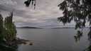 ./images/koeye/fitz-hugh/20260608/fitz-hugh20260608_075001M.jpg