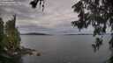 ./images/koeye/fitz-hugh/20260608/fitz-hugh20260608_075501M.jpg