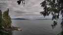 ./images/koeye/fitz-hugh/20260608/fitz-hugh20260608_081002M.jpg