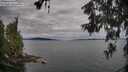 ./images/koeye/fitz-hugh/20260608/fitz-hugh20260608_081501M.jpg