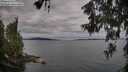./images/koeye/fitz-hugh/20260608/fitz-hugh20260608_082502M.jpg